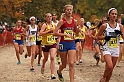 2010CIF XC GD1-1100